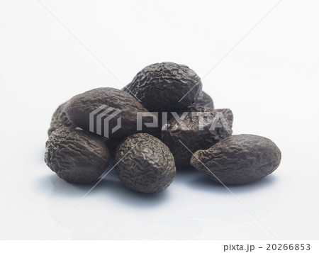 malva nut malva nut 20266853