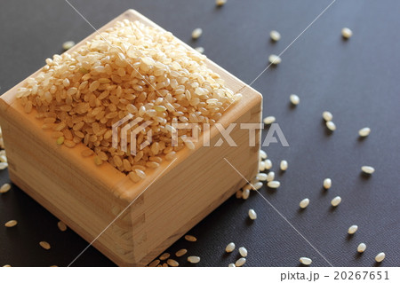 玄米 20267651