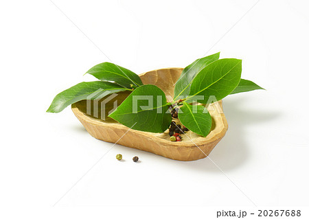 Sprig of bay leaves and peppercorns 20267688