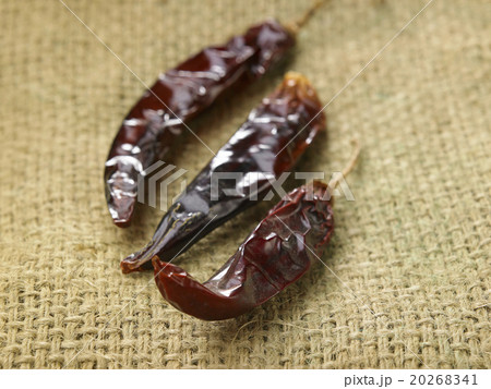 dried chili dried chili 20268341