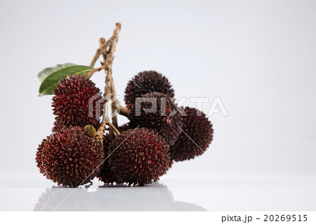 Pulasan or kapulasan fruit Pulasan or kapulasan fruit 20269515