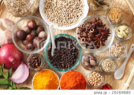 spices spices 20269880