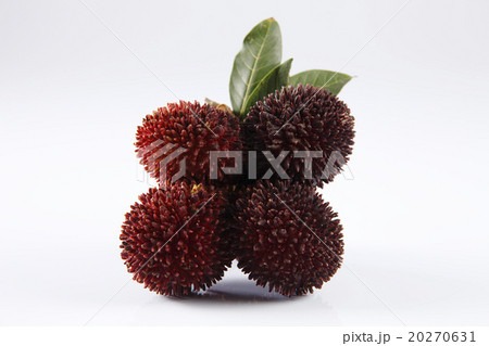 Pulasan or kapulasan fruit Pulasan or kapulasan fruit 20270631