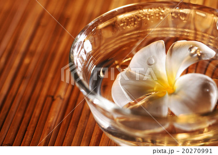 Frangipani blossom Frangipani blossom 20270991
