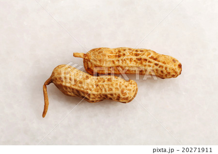 peanut peanut 20271911