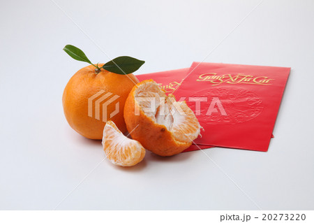 chinese new year 20273220