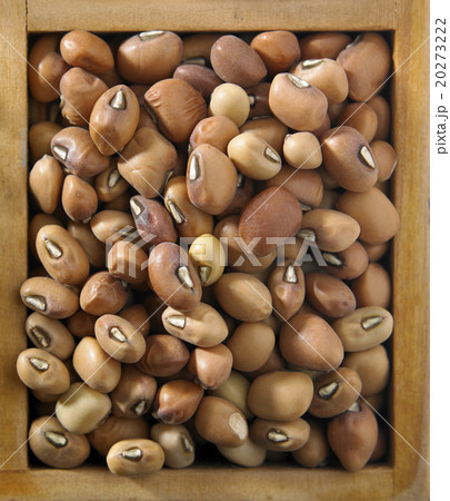 brown beans 20273222