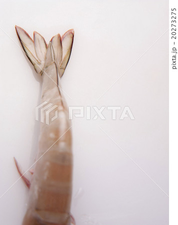 Tail of a shrimp Tail of a shrimp 20273275