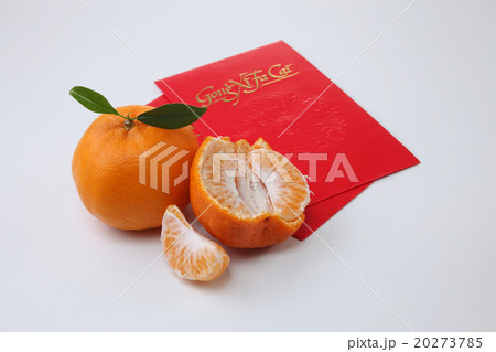 chinese new year 20273785