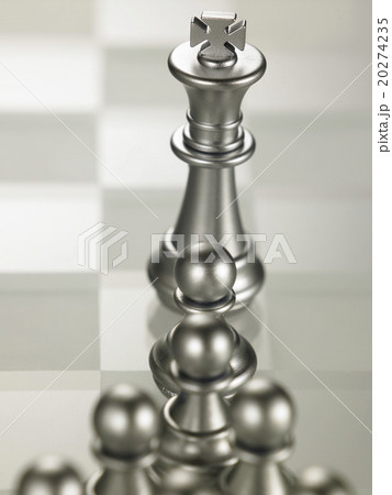 chess pieces 20274235