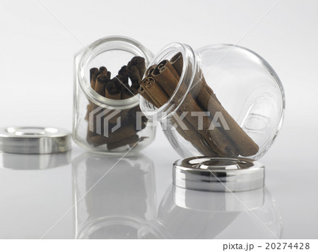 cinnamon cinnamon 20274428