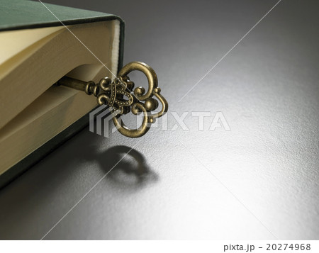 key of success 20274968