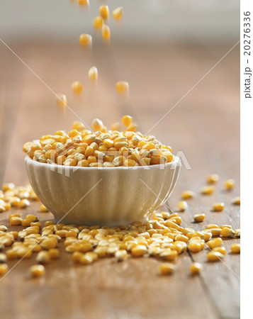 maize maize 20276336
