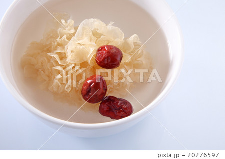 snow jelly fungus 20276597