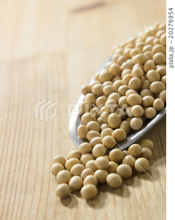 soy bean 20276954