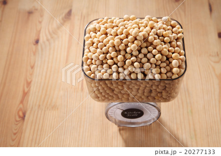 soy bean soy bean 20277133