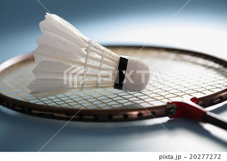 badminton 20277272