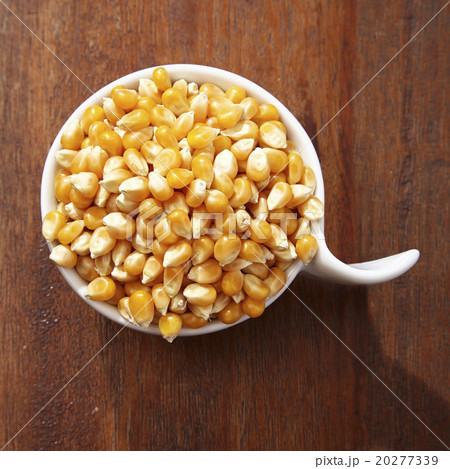 maize corn 20277339