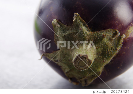 egg plant egg plant 20278424