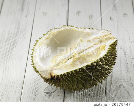 durian 20279447