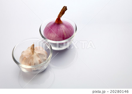 garlic and onion 20280146