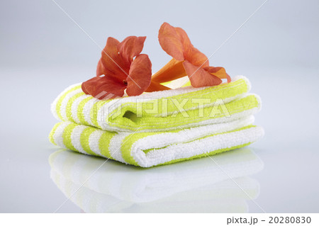 trumpet vine and towel 20280830