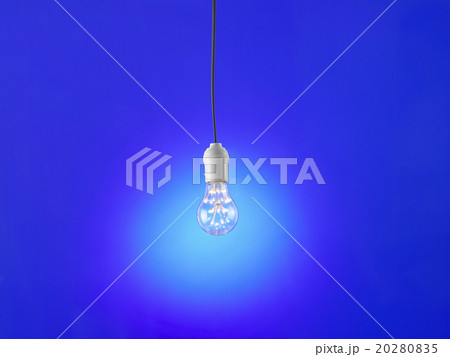 light bulb light bulb 20280835