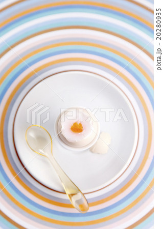 egg and eggcup 20280935