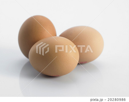 egg egg 20280986