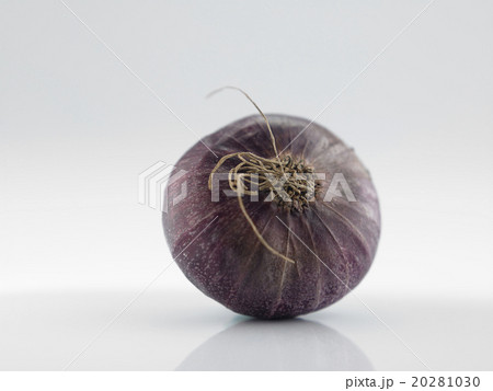onion onion 20281030