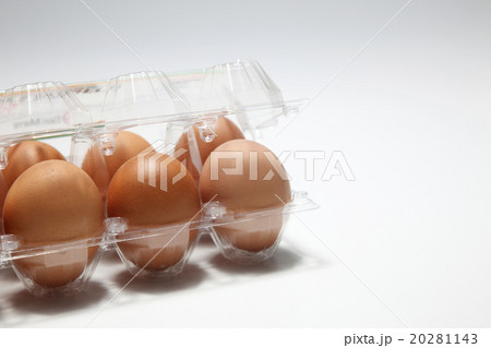 egg egg 20281143