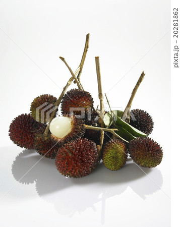 Buah Pulasan Fruit Buah Pulasan Fruit 20281862
