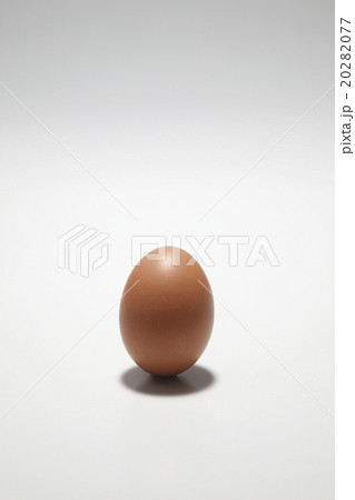 egg 20282077