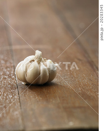 garlic 20283345