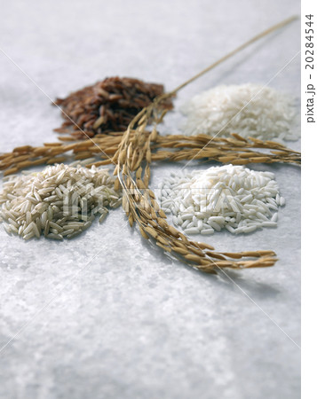 Rice varieties Rice varieties 20284544