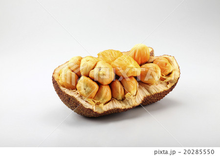 cempedak 20285550
