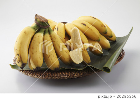 banana 20285556