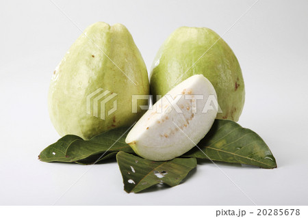 guava 20285678
