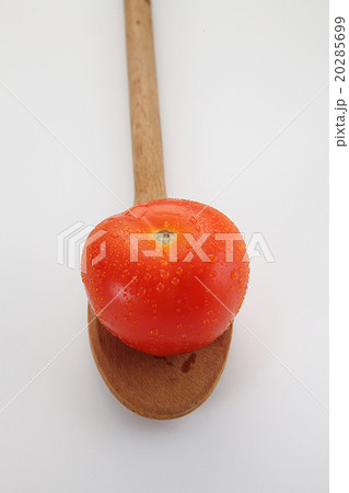 tomato 20285699