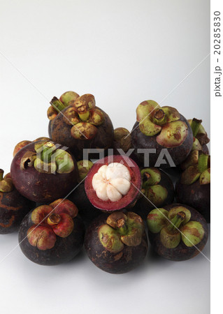 mangosteen mangosteen 20285830