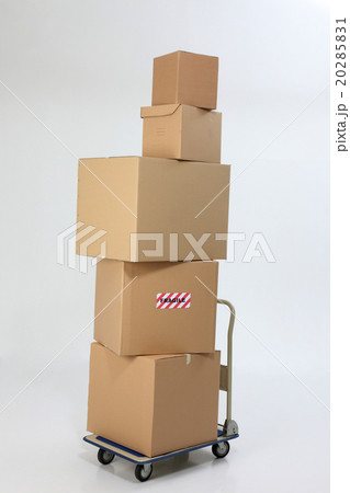 20285831