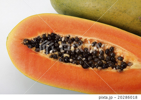papaya papaya 20286018