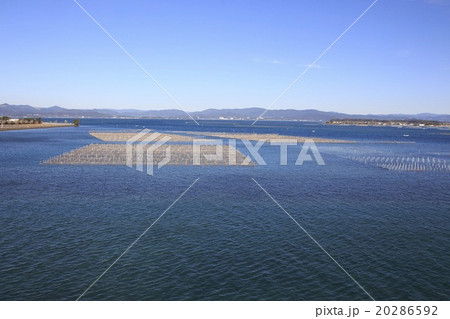 冬晴れ・快晴の浜名湖 20286592