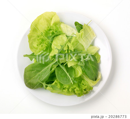 Salad greens Salad greens 20286773