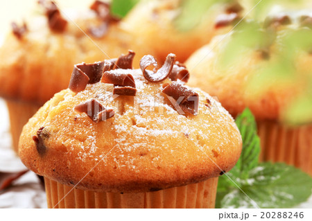 Fresh muffins Fresh muffins 20288246