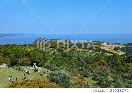 牛窓オリーブ園で休日を楽しむ人々 20288276
