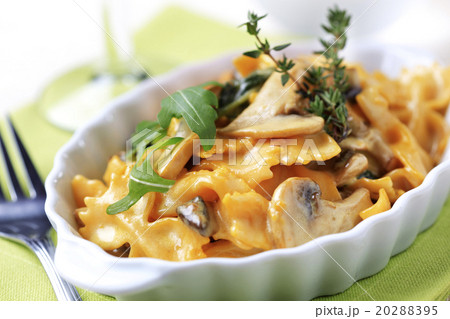 Vegetarian pasta dish 20288395
