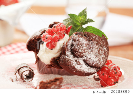 Chocolate muffin 20288399
