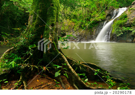 Secret waterfall in rain forest Secret waterfall in rain forest 20290178
