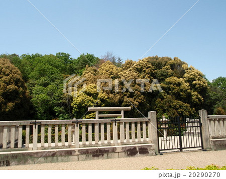 神功皇后陵 20290270